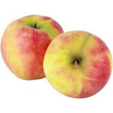 Apfel Elstar