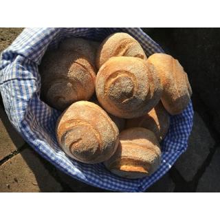 Steinofenbrötchen