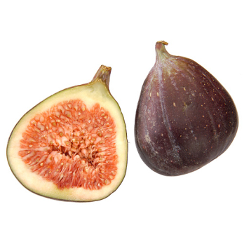 Feigen frisch